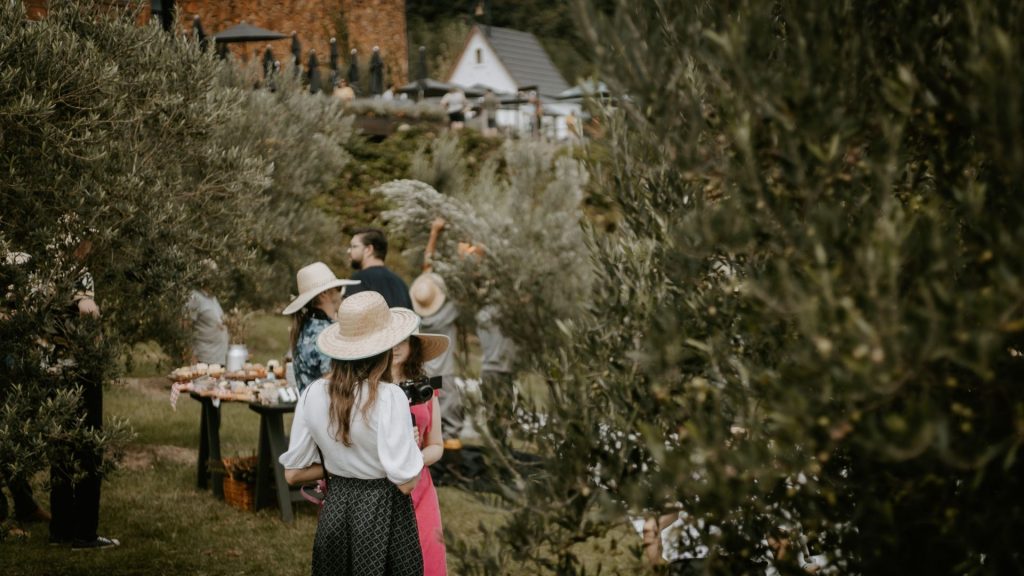 Parque Olivas de Gramado Cupom CHAPEUDEVIAGEM de desconto - Passeios naturais por entre as oliveiras