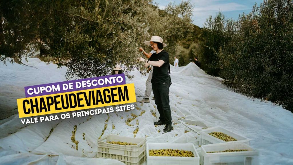 Cupom Olivas Gramado Vale a Pena? 10% OFF 21 Cupom Olivas Gramado CHAPEUDEVIAGEM - PH colhendo olivas