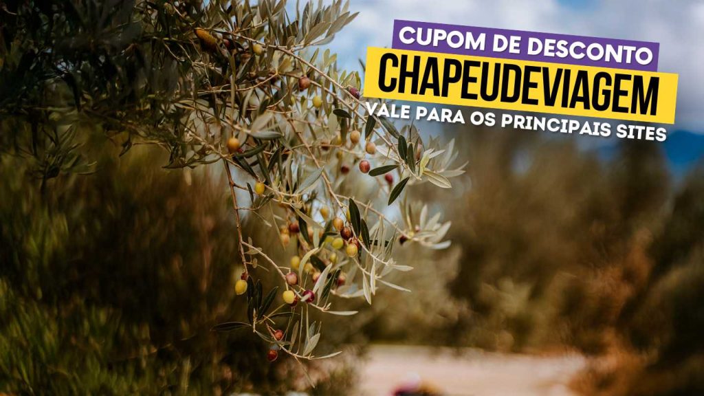 Cupom Olivas Gramado Vale a Pena? 10% OFF 8 Cupom Olivas Gramado CHAPEUDEVIAGEM - Ramo de oliveira