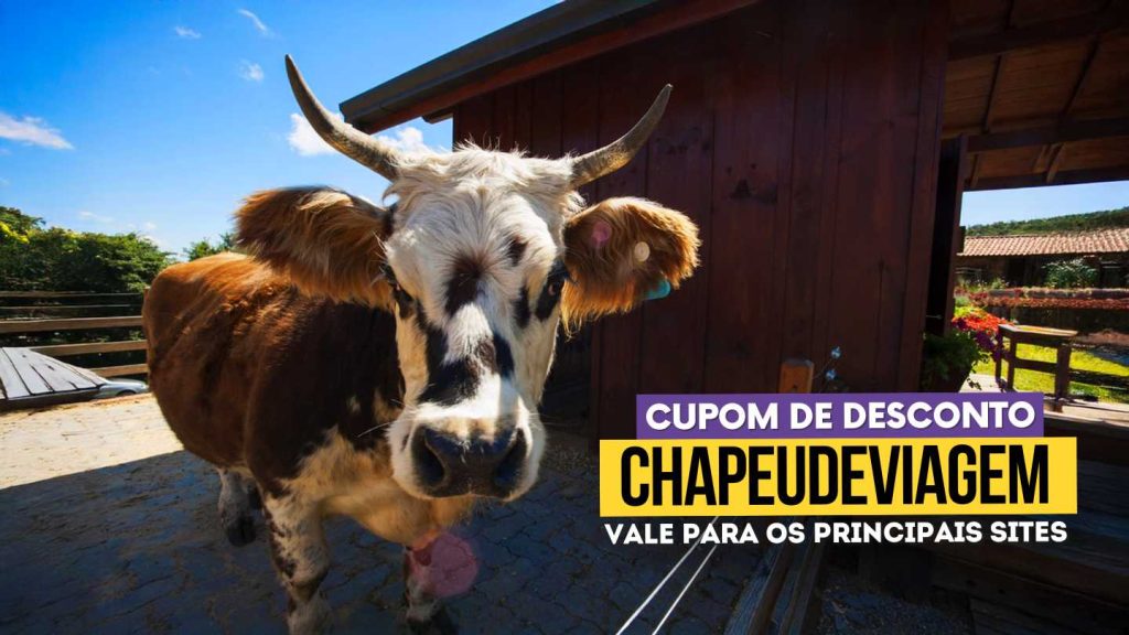 Cupom Olivas Gramado Vale a Pena? 10% OFF 6 Cupom Olivas Gramado CHAPEUDEVIAGEM - vaca da fazendinha