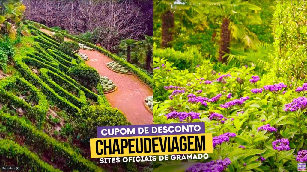 Garden Park Gramado Cupom CHAPEUDEVIAGEM - Jardim com flores roxas