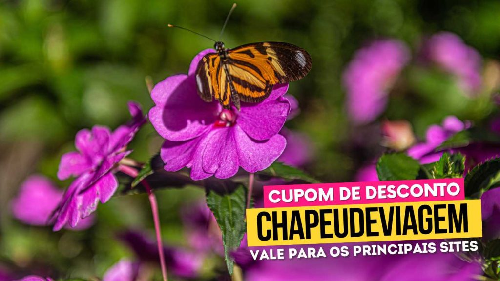 Garden Park Gramado Cupom CHAPEUDEVIAGEM borboleta na flor - garden park cupom