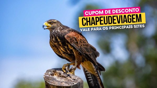 Ingresso Eco Park Cupom CHAPEUDEVIAGEM - Águia no parque