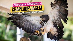 Ingresso Eco Park Cupom CHAPEUDEVIAGEM - Águia voando no parque