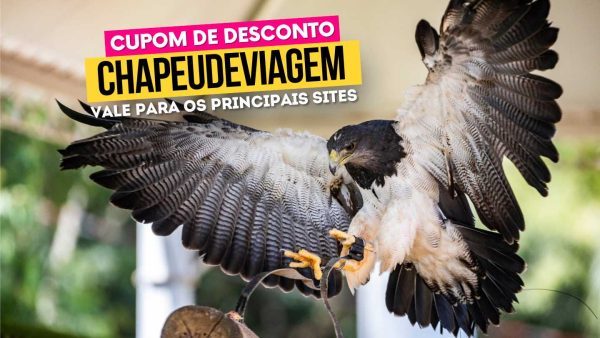 Ingresso Eco Park Cupom CHAPEUDEVIAGEM - Águia voando no parque