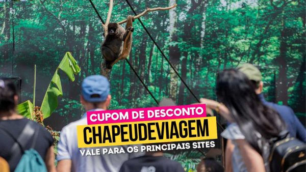 Ingresso Eco Park Cupom CHAPEUDEVIAGEM - Turistas observando macaco