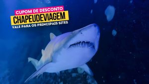 Ingresso Oceanic Aquarium Cupom CHAPEUDEVIAGEM - Tubarão