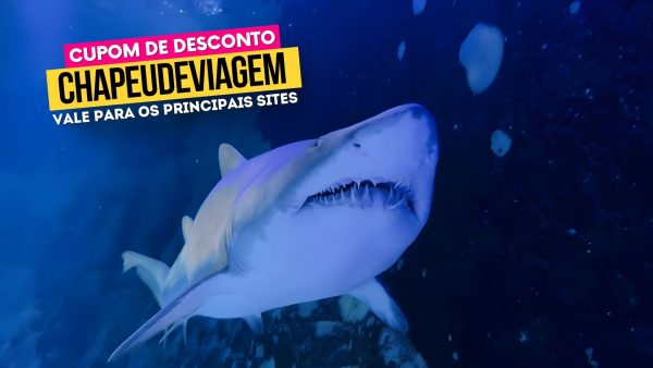 Ingresso Oceanic Aquarium Cupom CHAPEUDEVIAGEM até 15% de Desconto 1 Ingresso Oceanic Aquarium Cupom CHAPEUDEVIAGEM - Tubarão
