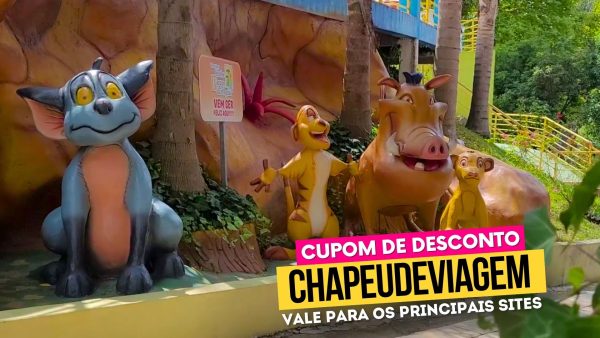 Ingresso Parque das Aguas Farroupilha cupom CHAPEUDEVIAGEM - personagens de desenho