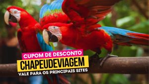 Ingresso Parque das Aves Cupom CHAPEUDEVIAGEM arara 1 - Wonder Park Big Land Cupom