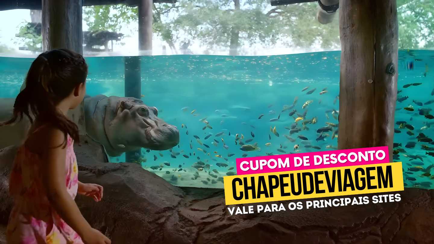 Ingresso Busch Gardens Tampa Bay - Cupom CHAPEUDEVIAGEM com Desconto 2 Ingresso Busch Gardens Tampa Bay - Cupom CHAPEUDEVIAGEM com Desconto - Imagem 2
