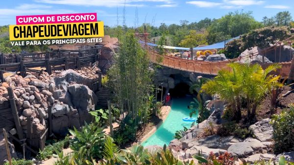 Ingresso Parque Aquático Disney Cupom CHAPEUDEVIAGEM - Ponte Suspensa