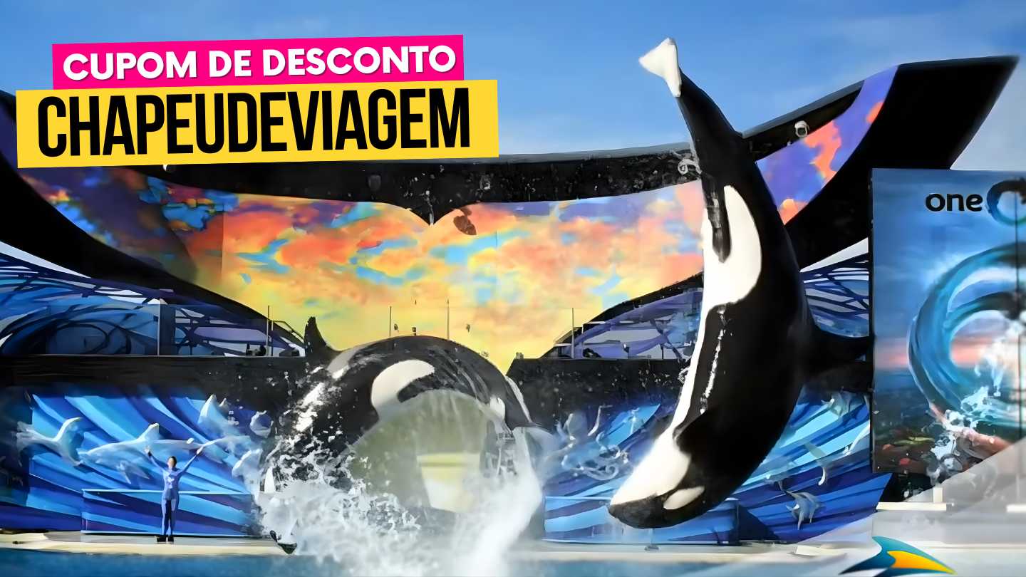 Ingresso SeaWorld Orlando Cupom CHAPEUDEVIAGEM - Baleias