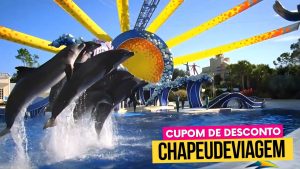 Ingresso SeaWorld Orlando Cupom CHAPEUDEVIAGEM - golfinhos