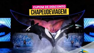 Ingresso SeaWorld Orlando Cupom CHAPEUDEVIAGEM - orcas