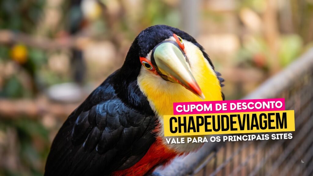 Zoo Pomerode Cupom CHAPEUDEVIAGEM - Tucano