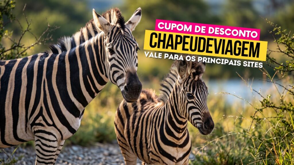 Zoo Pomerode Cupom CHAPEUDEVIAGEM - Zebras