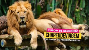 Zoo Pomerode Cupom CHAPEUDEVIAGEM - leões