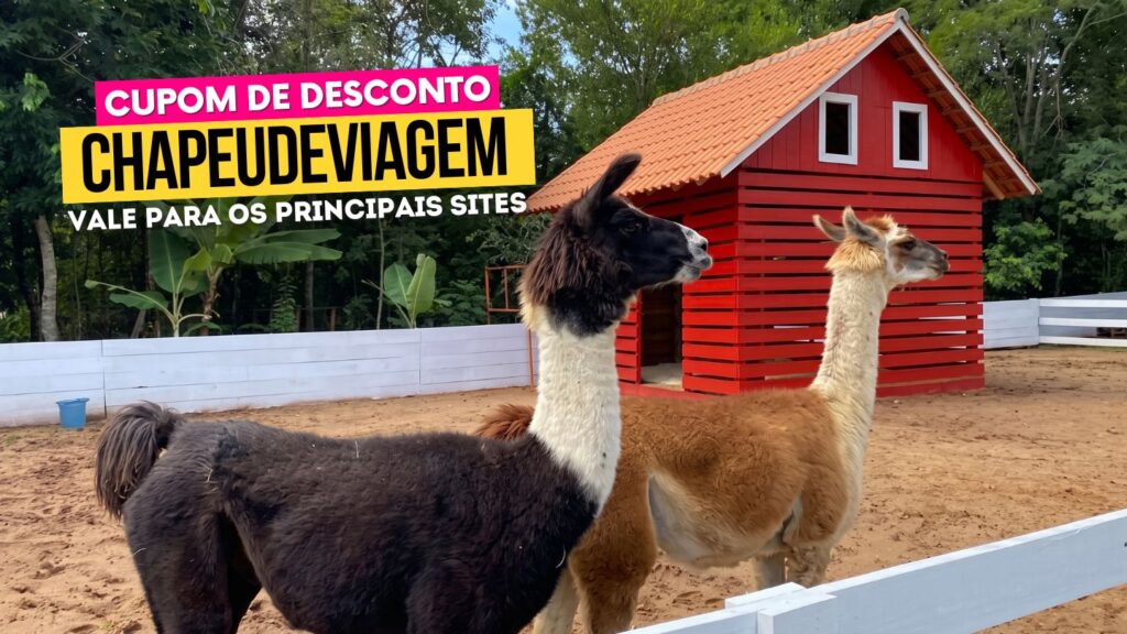 Zoo Park Foz Cupom CHAPEUDEVIAGEM - lhamas